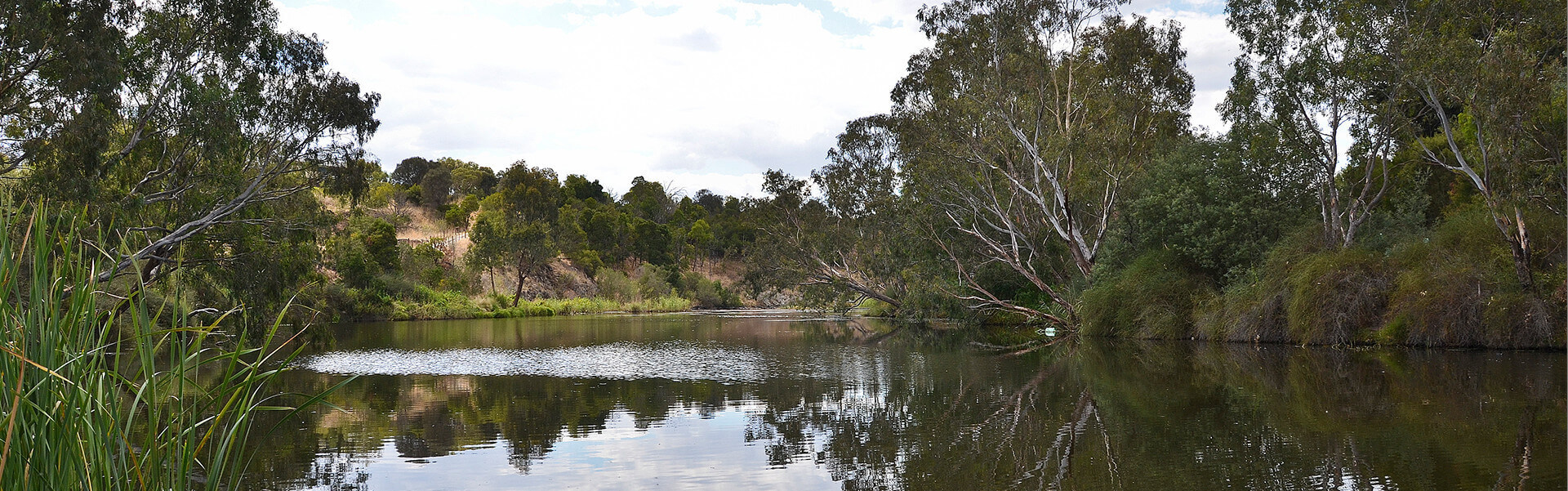 Geelong's only dedicated land website